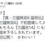 娇俏可人晋皇后 《三国志14》王元姬立绘公开